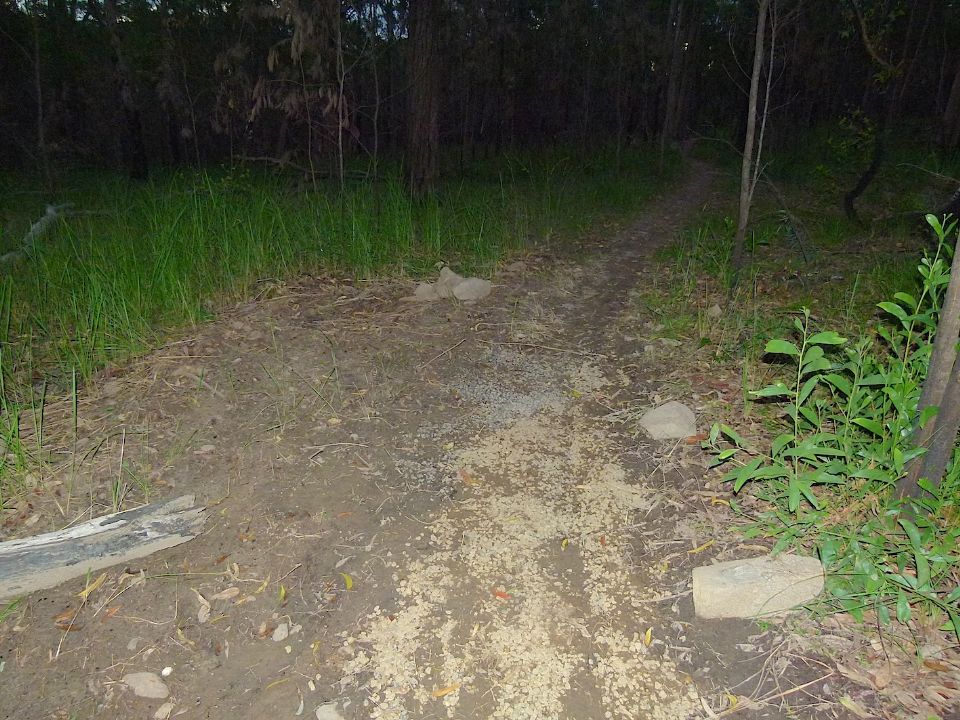 P1160370.jpg